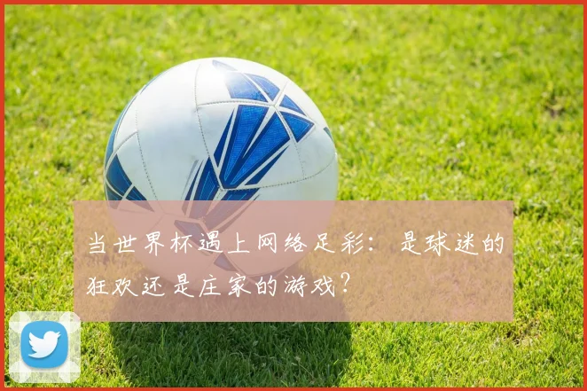 当世界杯遇上网络足彩：是球迷的狂欢还是庄家的游戏？