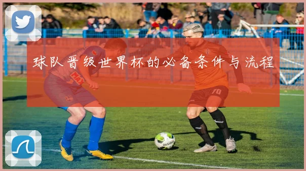 球队晋级世界杯的必备条件与流程