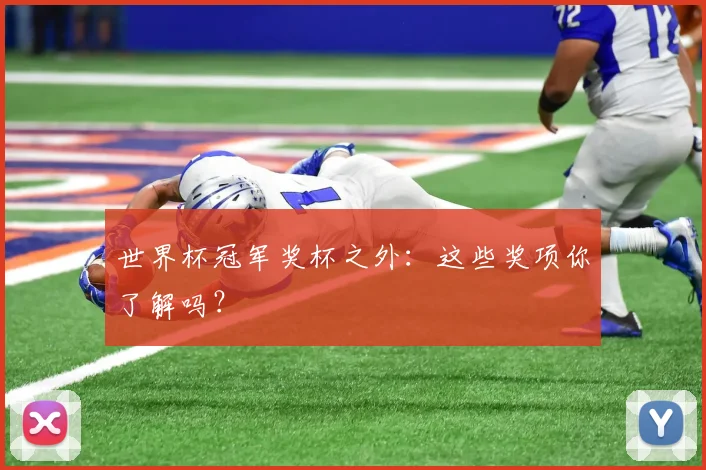 世界杯冠军奖杯之外：这些奖项你了解吗？