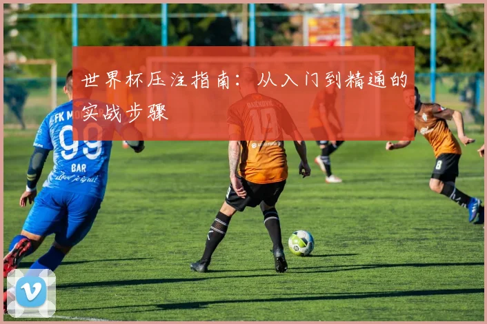 世界杯压注指南:从入门到精通的实战步骤
