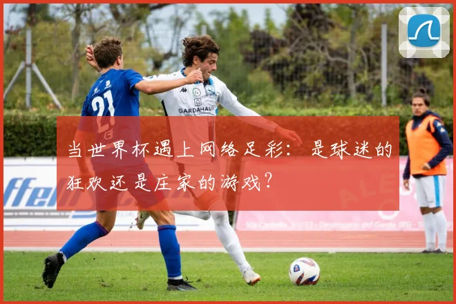 当世界杯遇上网络足彩：是球迷的狂欢还是庄家的游戏？