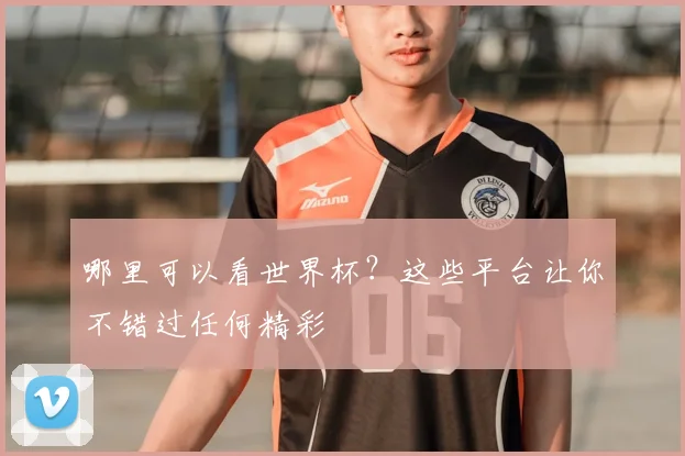哪里可以看世界杯?这些平台让你不错过任何精彩