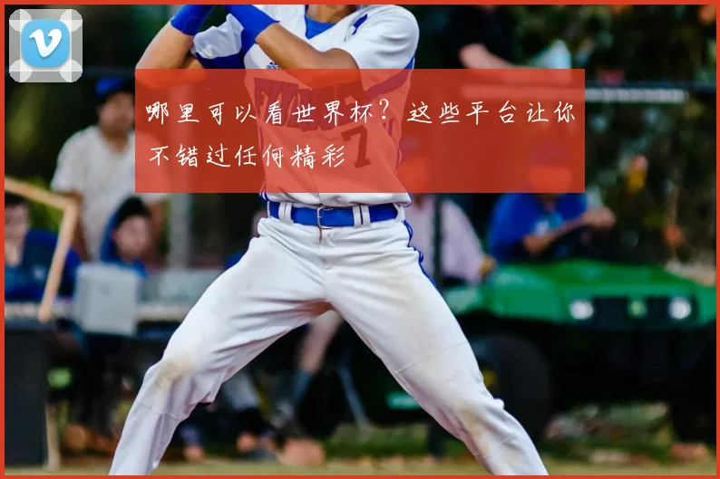 哪里可以看世界杯?这些平台让你不错过任何精彩