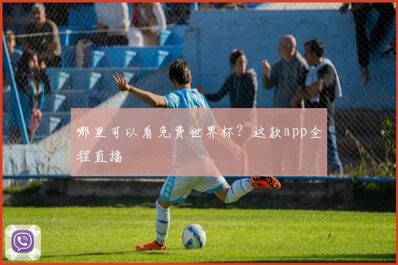 哪里可以看免费世界杯?这款app全程直播